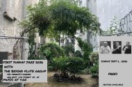 First Sunday Jazz -Beyond Flute Group