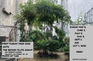 First Sunday Jazz - Beyond Flute Group