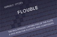 Gergely Ittzés: Flouble Software Demo
